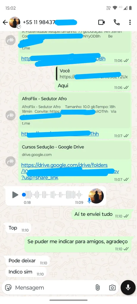 Feedback Cursos Udemy Torrent 4