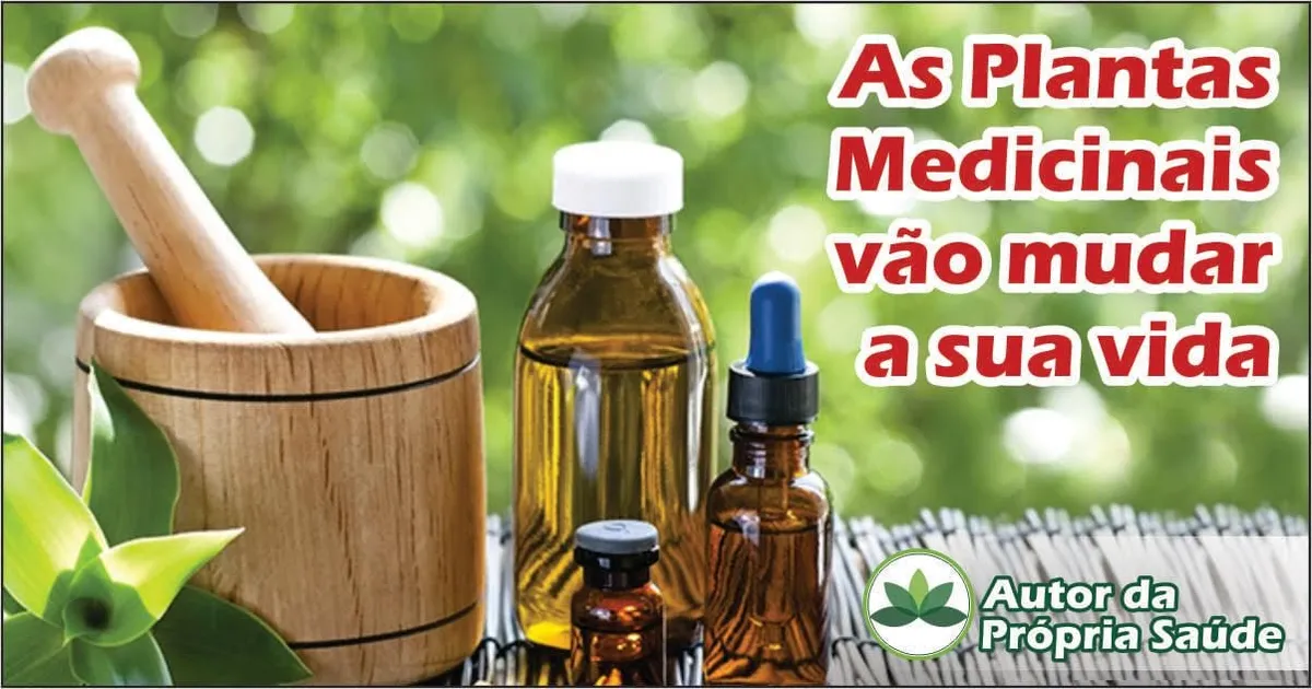 Capa: Baixar Curso Fitoterapia Daniel Forjaz: Domine a Saúde Natural