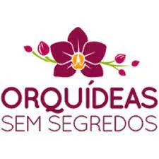 Capa: Orquídeas de Exposição: Baixar Curso do Professor Alberto