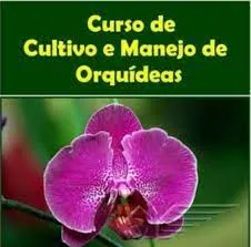Capa: Orquídeas Perfeitas: Baixar Curso do Biólogo Antônio Azeredo