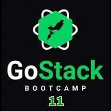 Capa: Baixar GoStack Bootcamp 11 Rocketseat: Download Completo