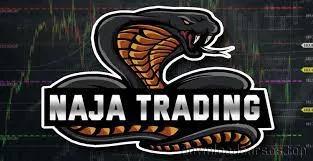 Capa: CURSO Naja Trader NTG: Download Completo Take Certo Urgente!