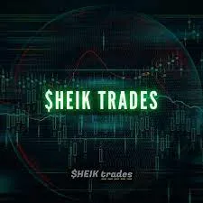 Capa: CURSO Sheik Traders Bad Boys 2020: Baixe Agora!