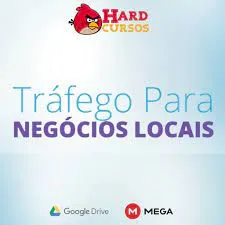 Capa: Baixar Curso Tráfego Para Negócios Locais – Fábio Bindes | Download Completo