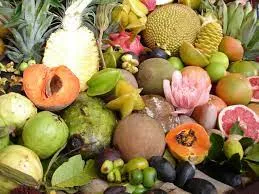 Capa: Baixar Curso Nutrição Completa: Guia Essencial