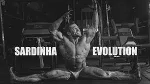 Capa: Baixar Sardinha Evolution: Curso Completo Online Agora!