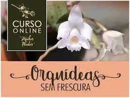 Capa: Orquídeas sem Frescura: Baixe o Curso Completo Agora!