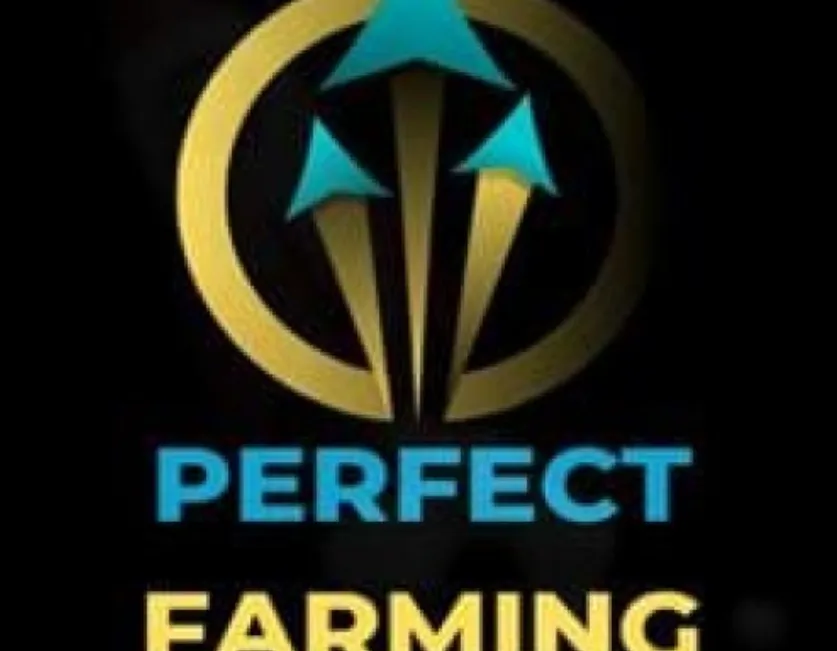 Capa: Baixar Perfect Farming Tiago Rebêlo: Domine Facebook Ads