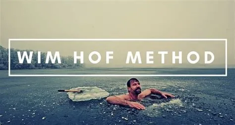 Capa: Baixar Curso Wim Hof Method Completo: Download Oficial