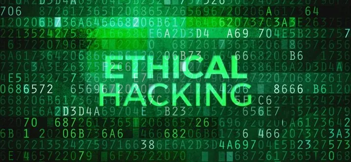 Capa: Python para Hackers Éticos Vitor Mazuco: Baixar Curso Completo