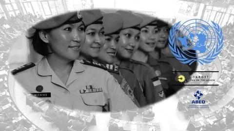 Capa: Baixar Curso Segurança Internacional e ONU: Coronel Aureo Vieira