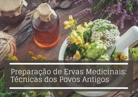 Capa: Baixar Preparação de Ervas Medicinais por Afonso Lopes: Curso Completo