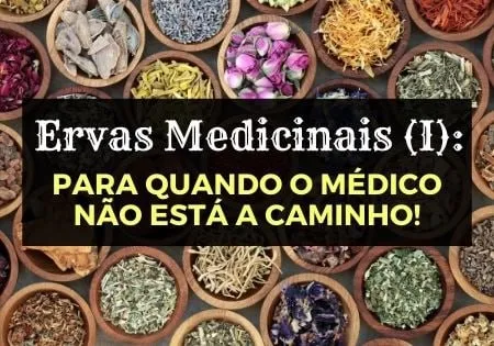 Capa: Ervas Medicinais Afonso Lopes: Baixar Curso Completo Agora!