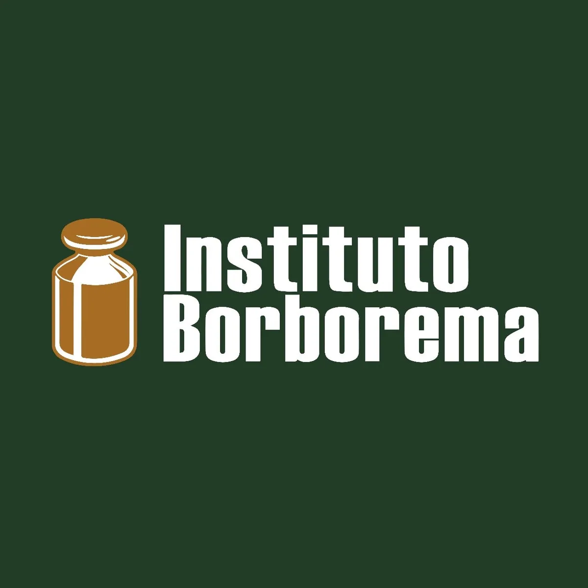 Capa: Baixar Instituto Borborema: Curso Completo Formação Básica