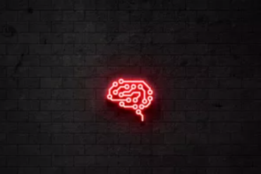 Biohack Academy Rodrigo Barbi: Plataforma de Alta Produtividade e Biohacking