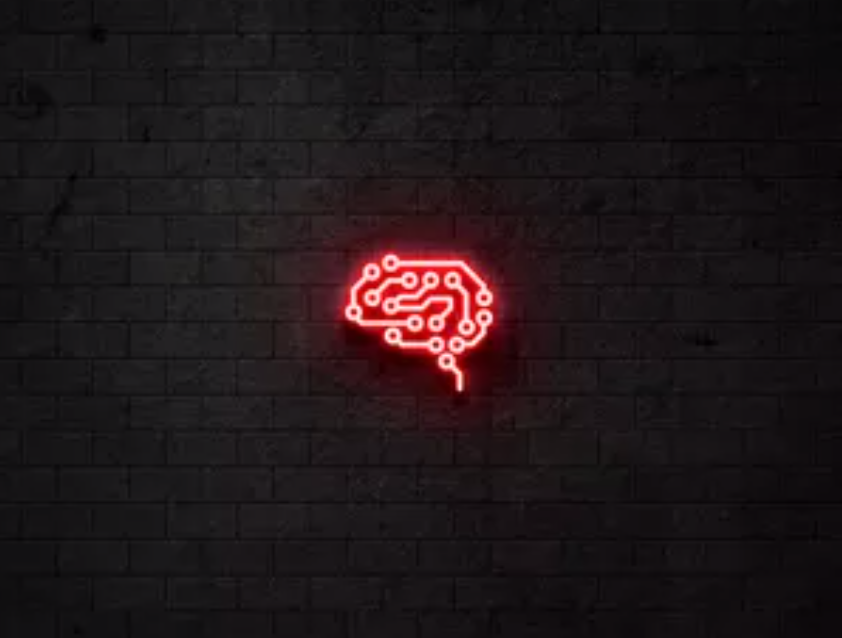 Biohack Academy Rodrigo Barbi: Plataforma de Alta Produtividade e Biohacking