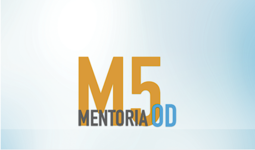 Mentoria M5 Alisson Casagrande: Download do Treinamento Completo para Vendas Online